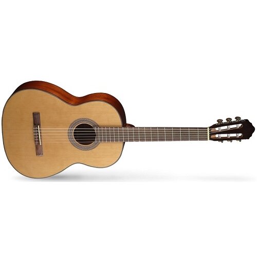 Cort klasična gitara AC200 NAT Cijene