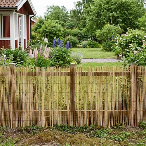  Vrtna Ograda Karbonizirano 400 x 100 cm Trska Slike