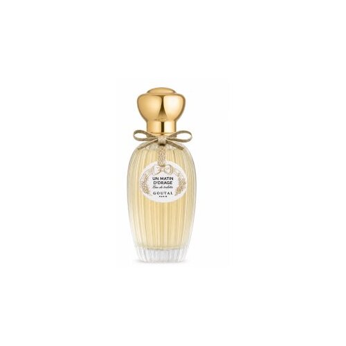 Annick Goutal Un Matin D&amp;#039;Orage Toaletna voda za ženske 100 ml Slike