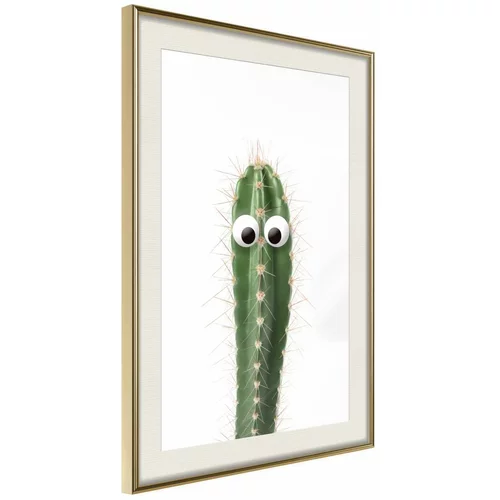  Poster - Funny Cactus I 30x45