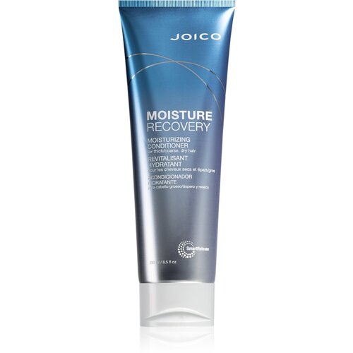 JOICO Moisture Recovery vlažilni balzam za suhe lase 250 ml Cene