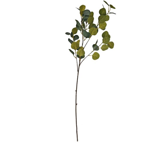  Rezano cvijeće eukaliptus grana, 90 cm Cijene