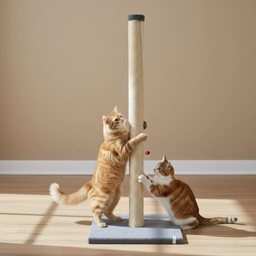 Paws & Whiskers Grebalica za mačke Aero, antracit Cene