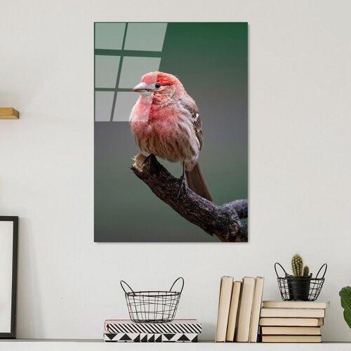 Wallity slika UV-300, 50 x 70 cm Cene