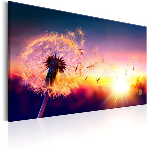  Slika - Freedom of Nature 90x60 Cijene