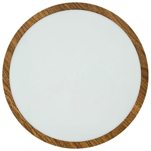  LED stropno svetlo RING LED/24W/230V 4200K, prečnik 28,5 cm, braon Cene