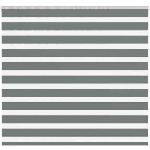 vidaXL Zebra senčilo temno sivo 160x150 cm tkanina širina 155,9 cm Cene
