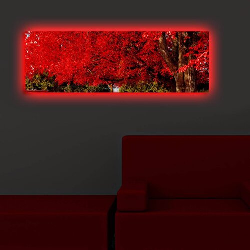 Wallity Slika sa LED osvetljenjem 3090DACT-35, 30x90 cm Cene