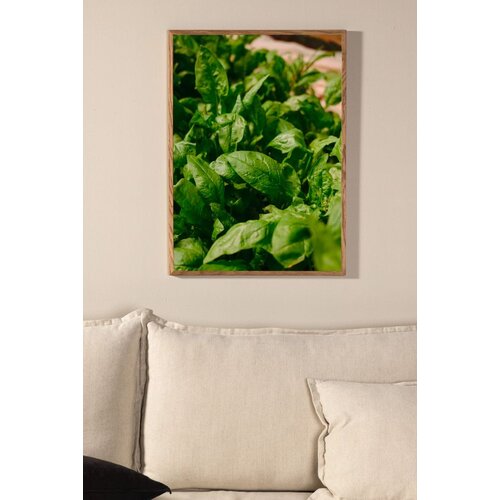Venture Home poster Green Leaf 30 &amp;times; 40 cm, zeleni Slike
