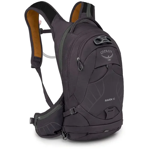 Osprey Raven 10 (Space Travel Grey, O/S)