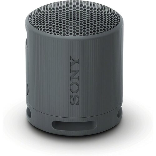 Sony BT zvučnik XB100 - crni Cijene