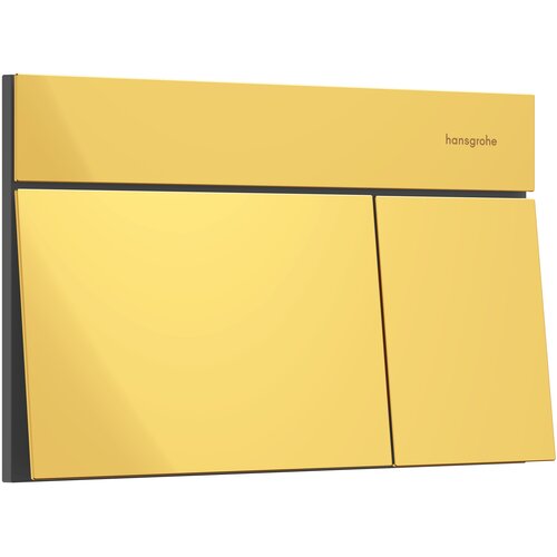 Hansgrohe iFrame tipka Element E Zlatna 66003990 Cene