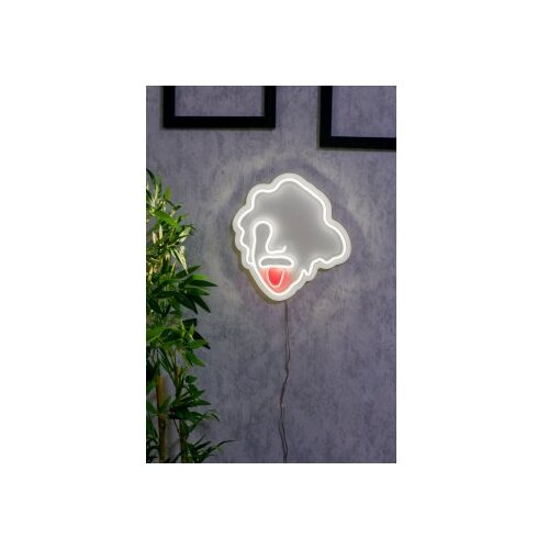 WALLXPERT dekorativna plastična led rasveta einstein multicolor Cene