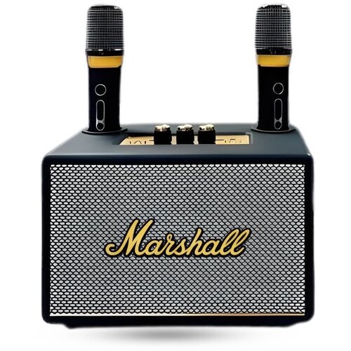 Marshall M100 Bluetooth zvucnik MSL 15W+5W HF tweeter BT MIC2 Cijene