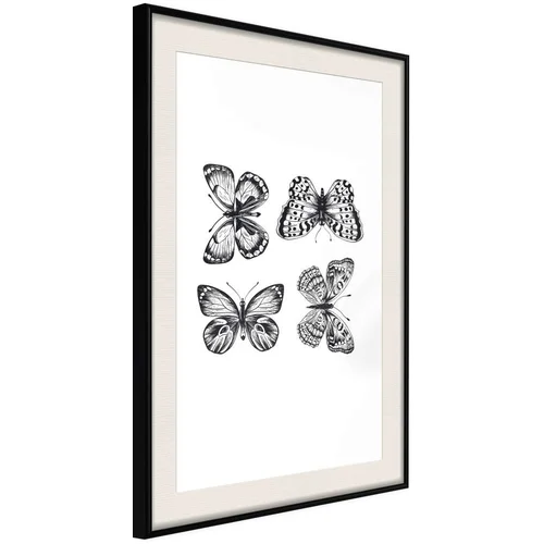  Poster - Butterfly Collection III 30x45