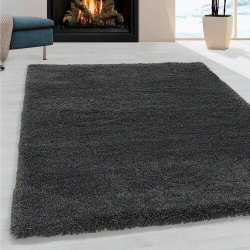 XXXL Preproga Fluffy, 160x230cm, Siva Slike
