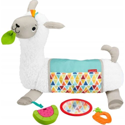  Fisher-Price GHJ03 igračka za učenje Cene