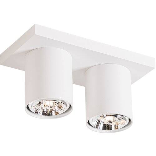 QAZQA Moderni stropni reflektor bel 2-light - Tubo Slike