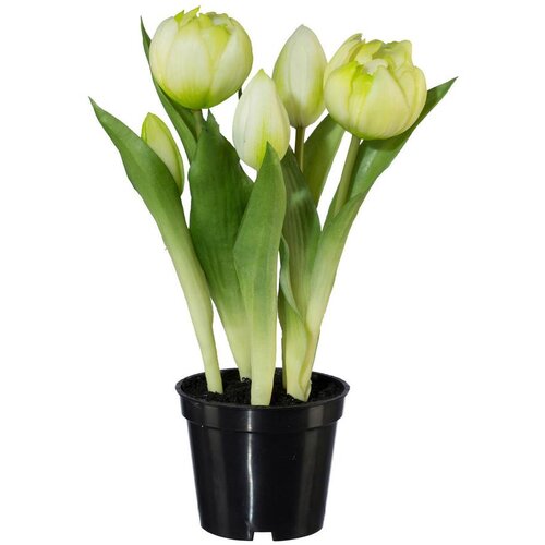 Modern Living Umetna Rastlina Tulpe I Cene