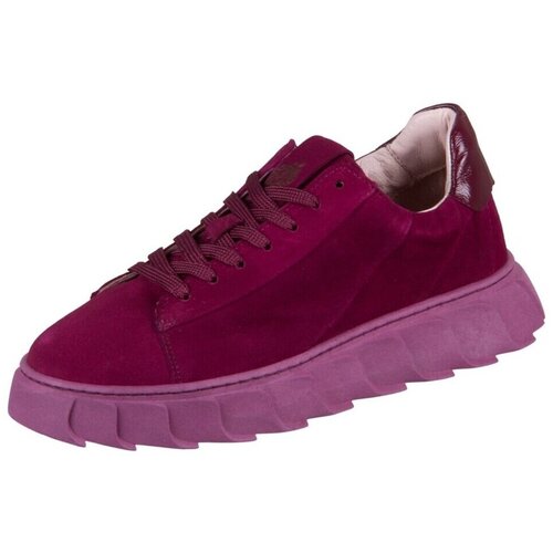 Apple Of Eden AW23Lagos53 Bordo Cijene