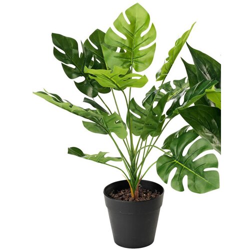 Sengetojslager ve&amp;scaron;tačka biljka Filadendron 30cm Slike
