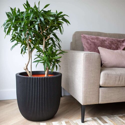 Capi Cvetlično korito Groove 35x34 črno, (20981599) Slike