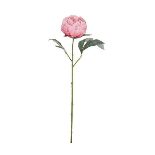  CVIJET PEONIJA 52CM ROZA BIZZOTTO Slike