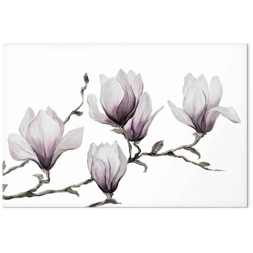  Slika - Painted Magnolias (1 Part) Wide 90x60 Slike