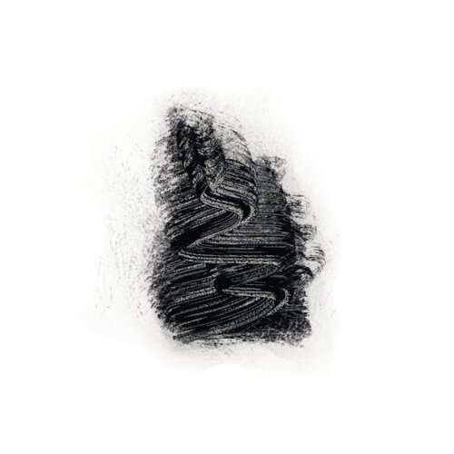 Lady Green Volumen Mascara - Črna Cene