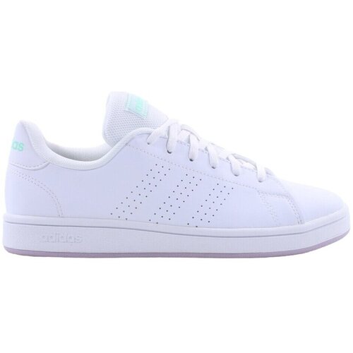 Adidas Nizke superge Advantage Base Bela Cene