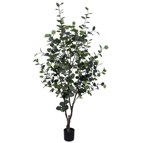  EUKALIPTUS 180CM Slike