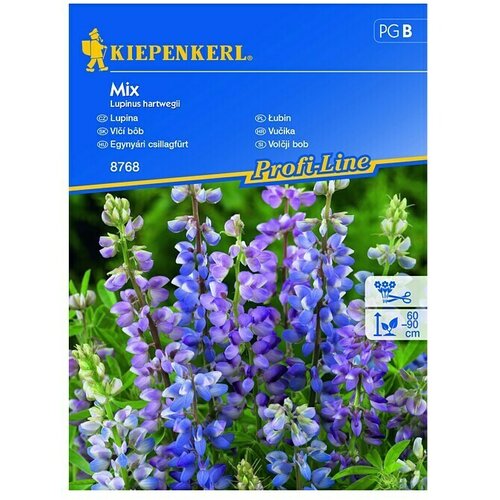 KIEPENKERL Sjeme cvijeća Vučika Mix (Lupinus hartwegii, Ljubičasta) Cijene