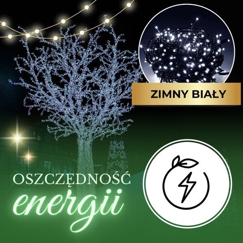  Božićne LED lampice &amp;ndash; 400 lampica, hladno bijela Slike