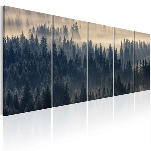  Slika - Fir in the Fog 225x90 Slike