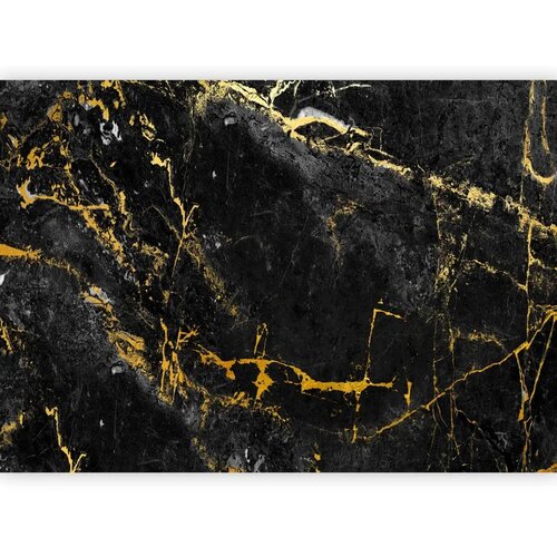  Foto tapeta - Black Elegance 350x256 Premium Slike