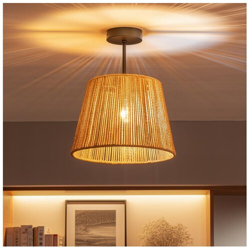 Brilagi LED plafonski luster CERIA BOHO 1xE27/60W/230V prečnik 28 cm crna/smeđa Cene