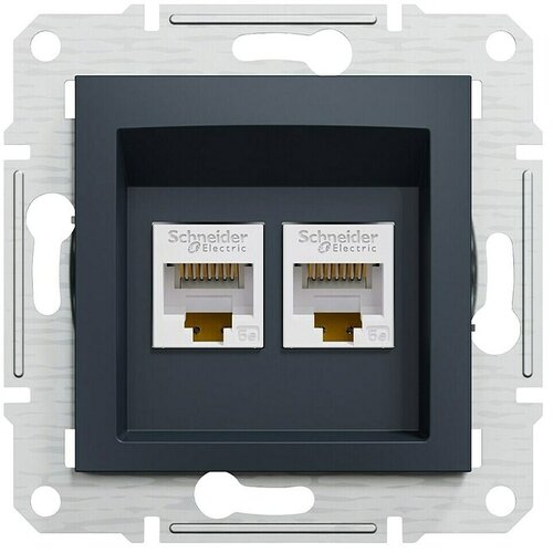 Schneider Electric Asfora Mrežna utičnica CAT5E (Antracit, 2-struko, RJ45, bez okvira) Cijene