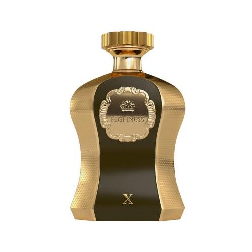 Afnan Highness X 100 ml parfemska voda za mu&amp;scaron;karce Slike