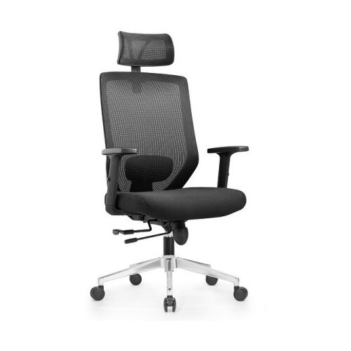 Ergo office plus - Radna anatomska stolica Y1 - Crna 683963 Cene