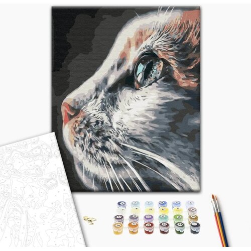  Slika za samostalno slikanje - Feline majesty 40x50 Cene
