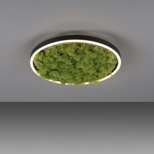 Just LIGHT. 15391-66 - LED prigu&amp;scaron;iva stropna svetiljka GREEN RITU LED/20W/230V Slike