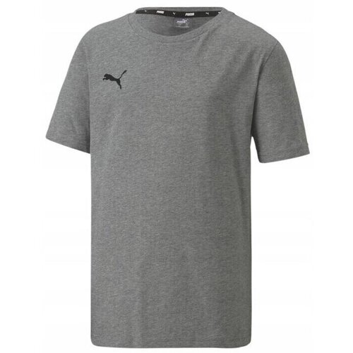 Puma Teamgoal 23 Siva Cijene