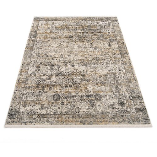 Dieter Knoll TKANA PREPROGA Toulon 240/340 cm siva, zlate barve Slike