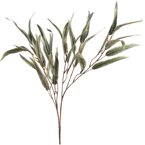 Mondex okrasna veja plastika Viridis 80cm zelena 1kos, (5000329498) Cene