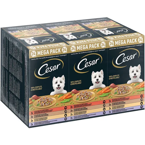 Cesar 20 + 4 gratis! 24 x 150 g Mega pakiranje u zdjelicama - Seoski ragu (24 x 150 g)