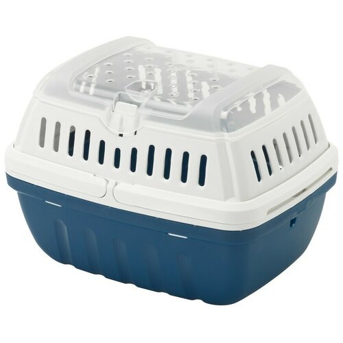 Moderna Transporter za glodare Hipster Smal, 23cm, Plavo-beli Slike
