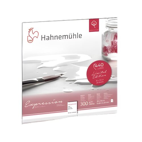  Hahnemühle Expression akvarel papir ograničeno izdanje 30x30 cm Cijene