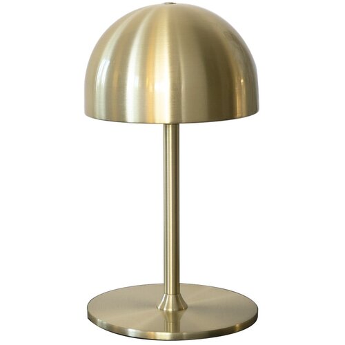 Sirius Mjedena LED stolna lampa s daljinskim upravljačem s metalnim sjenilom (visina 22 cm) Tim – Cijene