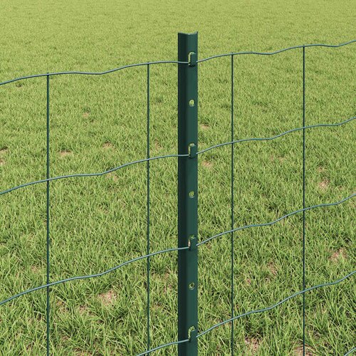 Euro ograda s postom 50 x 0,6 m Čelik premazan PVC-om Zelena Slike