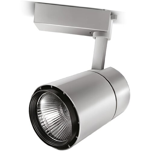 Braytron LED Šinski Reflektor 30W Beli 3000K Monofazni BD30-01700 Cene
